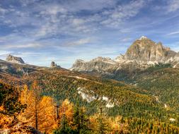 Dolomites Tofane trees Nature