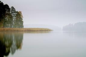 incredible Fog Pond