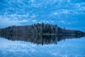 incredible Blue Sky Clouds forest