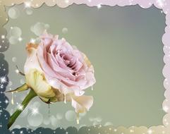 rose flower graphic greeting card