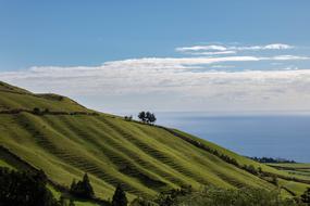 Landscape of Nature green Terraces