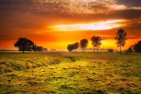 red Sunset Field Meadow