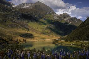 incredible Nature Zeinissee Vorarlberg