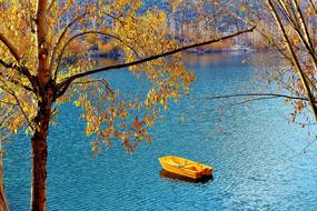 Tree Lake in Pakistan