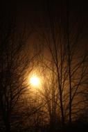 Bright Light at Night