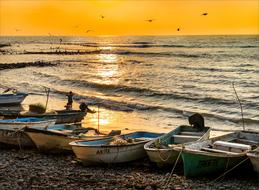 Sea Boats in shore