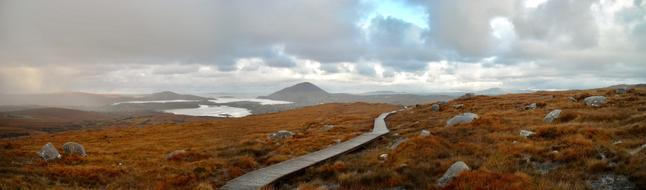 Landscape Ireland