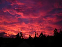 red purple clouds in sky over forest