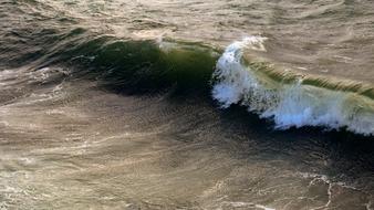 photo of Wave of Sea Ocean