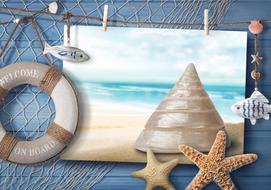sea conch summer drawing