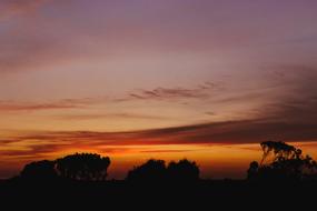 red pink Sunset Trees Nature