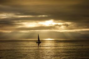 incredible Sunbeam Rays Boat