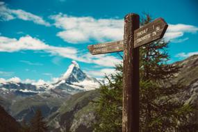 wood signs on Hiking Mountain