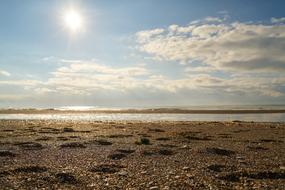 empty pebble beach on sunny day