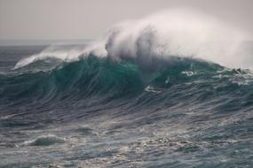 photo of Surf Sea Waters