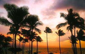 incredible Hawaii Sunset Dusk