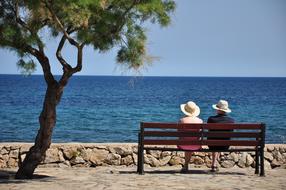 couple resting on a bench near a tree