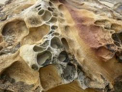 photo of rough washout sandstone on the coastline