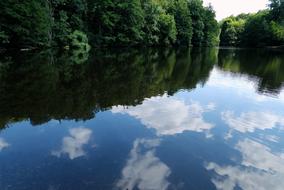 landscape of trees Mirroring Lake Waters