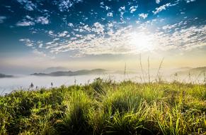 Water and grass Nature Panoramic