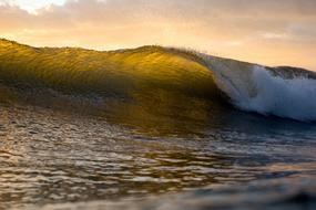 big Wave Ocean