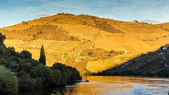 magnificent Douro River