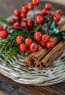 Decoration Christmas Cinnamon and red berries