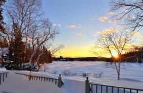 Winter Landscape Snow trees sun