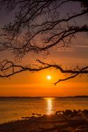 view from the coast to the sunset on the horizon above the water