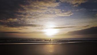 Beach Sunset and Dog