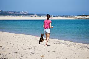 Girl Dog Sand sea