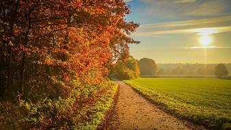 Sunset Autumn road
