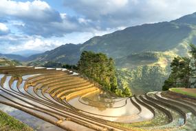 Beautiful and colorful landscape of the rice terraces, with the water, on the mountains in Vietnam