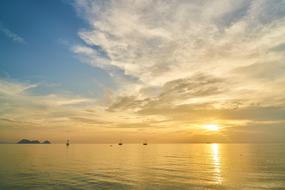 Landscape Nature Beach gold sun