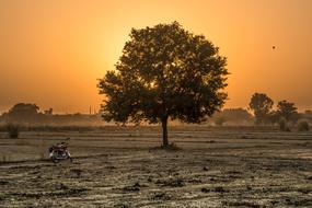 golden hour of sunset over the countryside