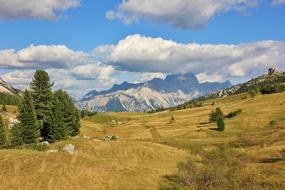 trees Mountain Landscape