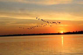 Sunset Dawn Water and birds