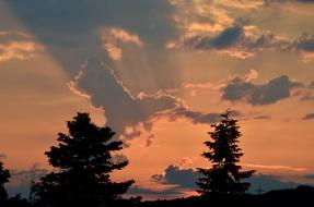 Silhouettes of the trees, under the beautiful and colorful sunset in the clouds