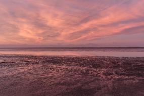 Coast Sea Water pink violet