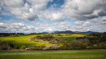 Spring Sun green grass Nature