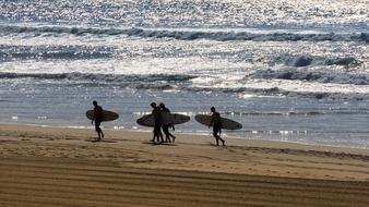 Beach Sea Surf people