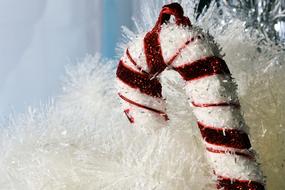 Christmas Joy in Winter Time
