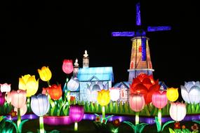 Beautiful and tulips and buildings, at black background, in Holland