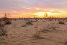 Yellow sunset over sand Desert