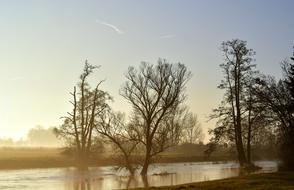 River Water and trees in sepia