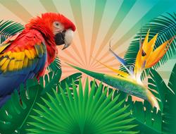beautiful colorful parrot on a tropical background