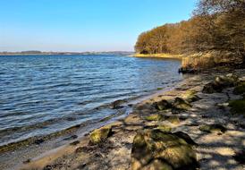 photo of a small bay in the Baltic Sea in Denmark