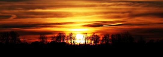 Sunset behind bare trees, panoramic view