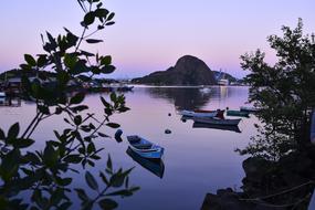 Beautiful landscape with the boats near the shore with plants, at colorful and beautiful sunset