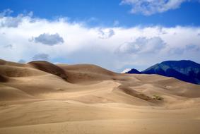 sandy desert in the wilderness